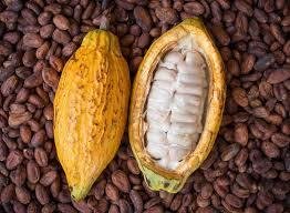 Raw Cocoa Butter - Pure, Unrefined, Ideal for DIY Beauty Recipes